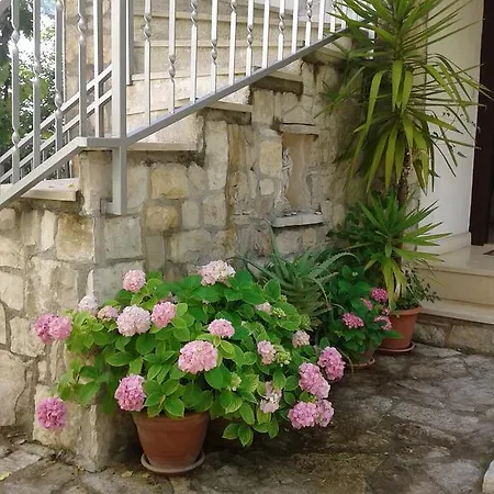 Apartament Marina *