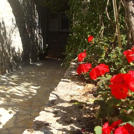 Marina * סופטאר