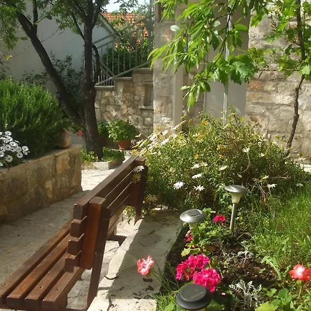 Marina * スペタル